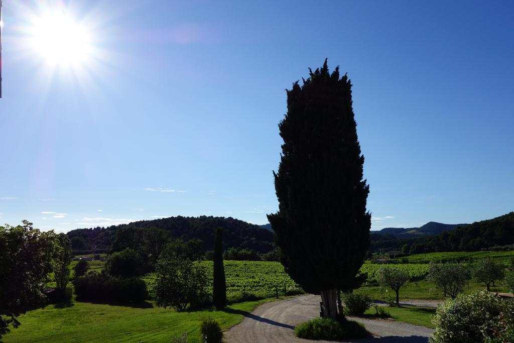 Bed and Breakfast Le Mas En Provence Entrechaux Экстерьер фото