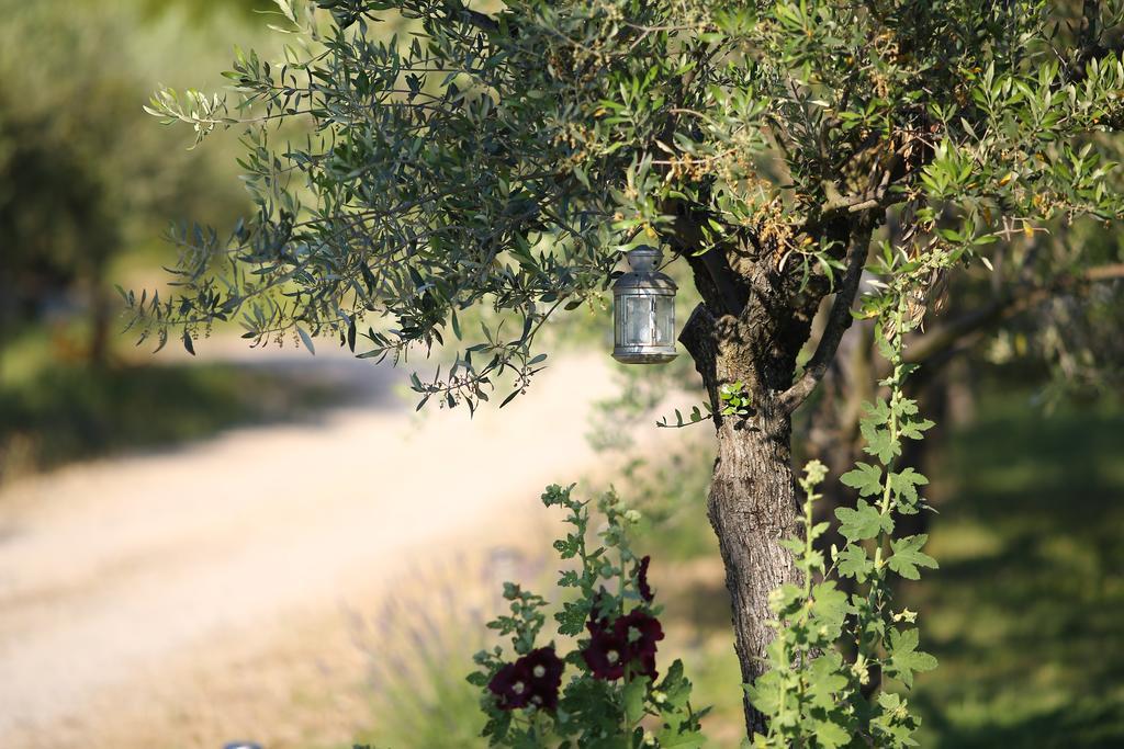 Bed and Breakfast Le Mas En Provence Entrechaux Экстерьер фото